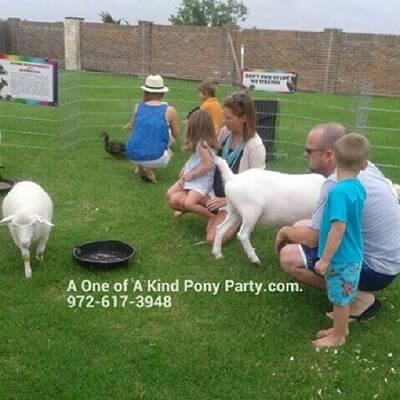Dallas Petting Zoo